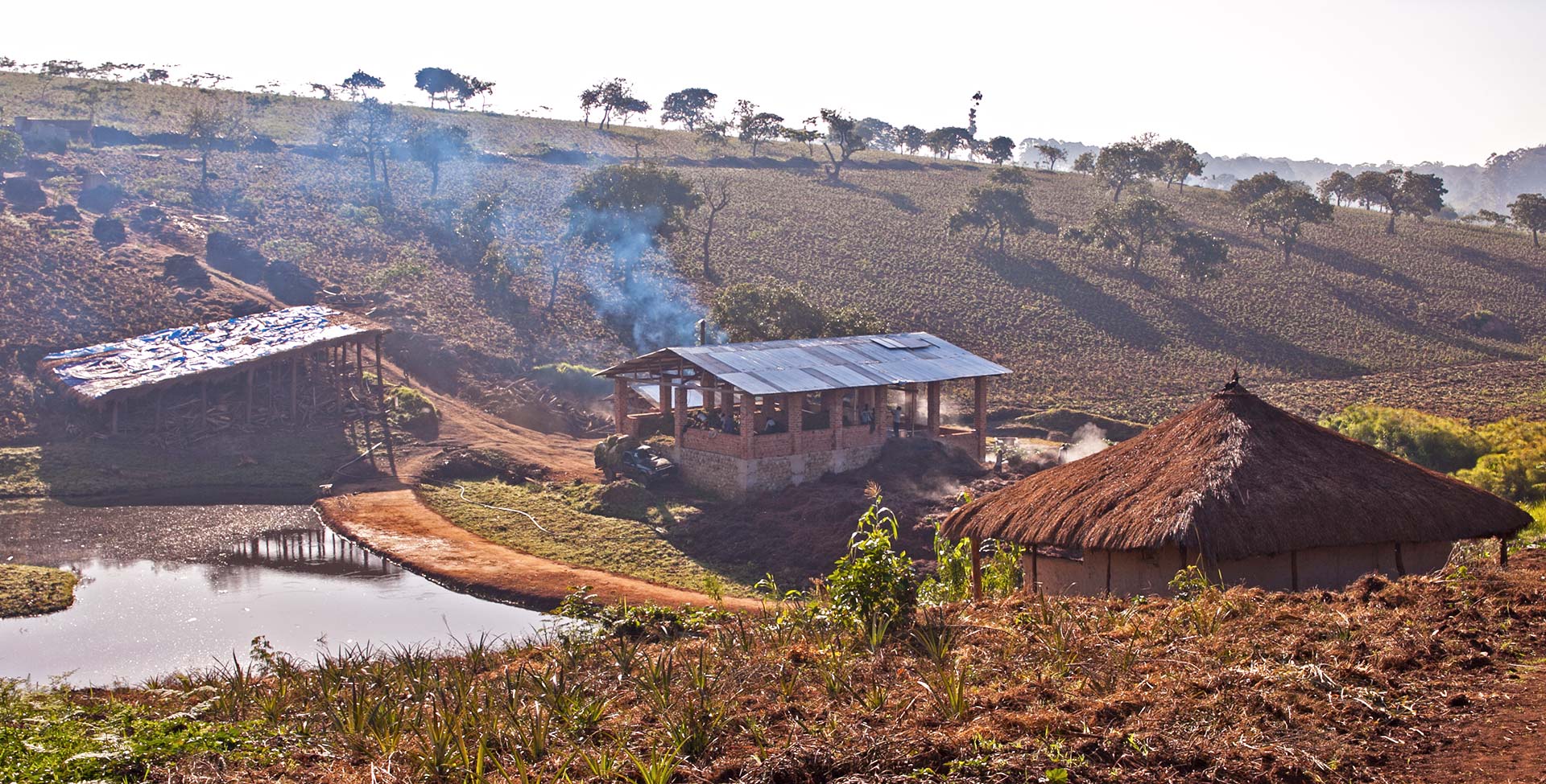 Avituri regroups around 200 acres of food crops, aromatic herbs